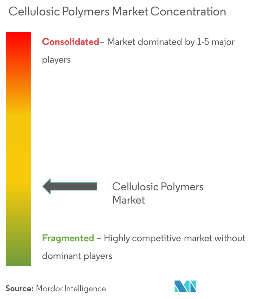 Ashland, Daicel Corporation, Eastman Chemical Corporation, Xinjiang Zhongtai Chemical Co.